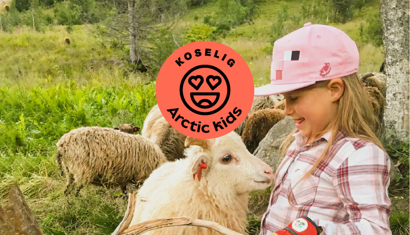 About Arctic Kids | Visit Narvik